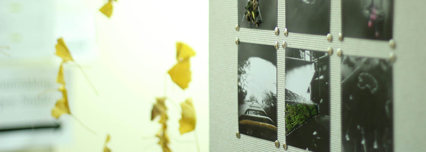 Willamette University student art exhibit