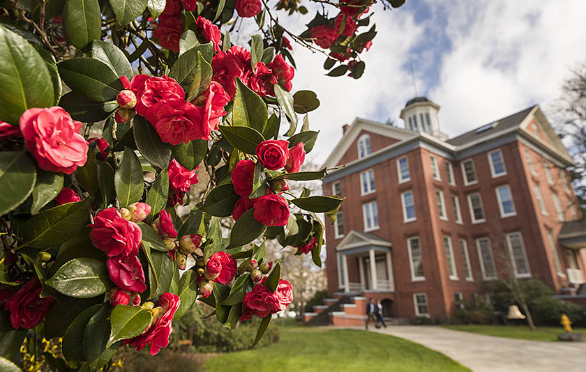 Pink flowers blooming nearby a brick building at Willamette
