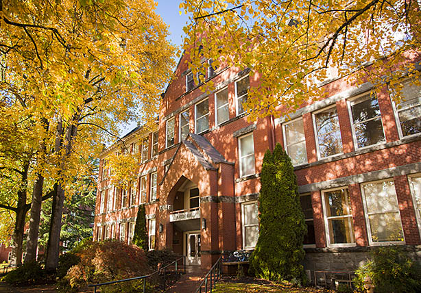 A brick building in bright lighting surrounded by trees that are shedding their fall leaves