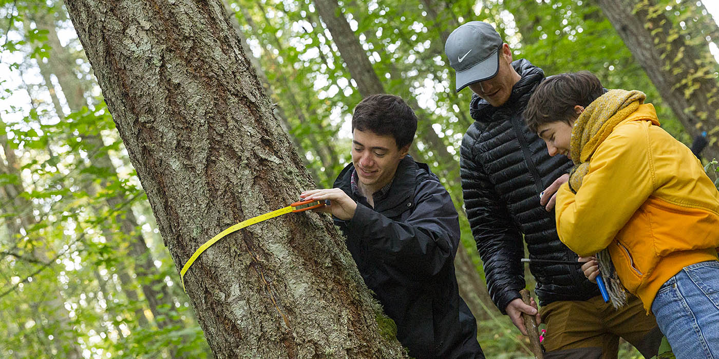 Willamette University students measuring the circumference of a tree in a forest using a measuring tape, accompanied by an instructor, as part of an outdoor environmental science or forestry project.