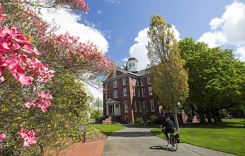 A tree with plenty of pink flowers in front of a brick building at Willamette