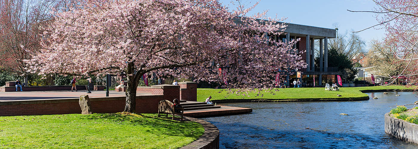 Willamette's Mill Stream and University Services Building