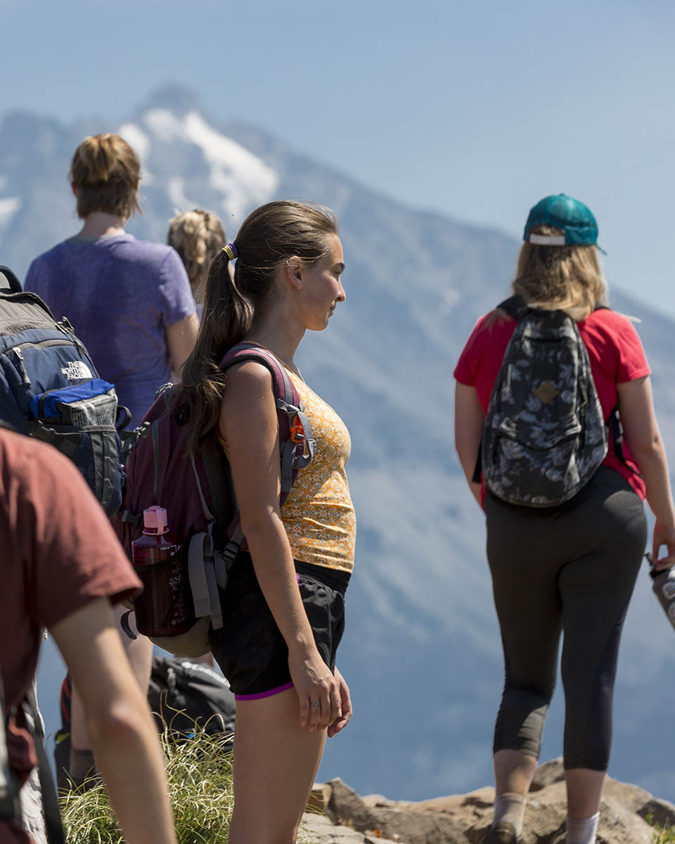 A group of hikers looking at a snowcapped mountain from a high point of view.