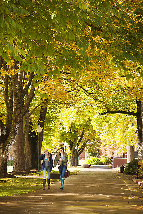 Two students walking down a street lined with trees