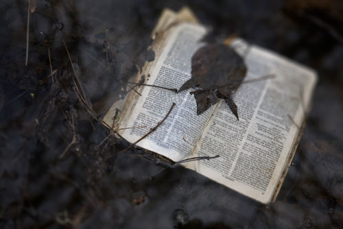 Remains: Photographs by Frank Miller