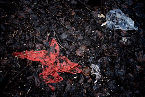 Remains: Photographs by Frank Miller