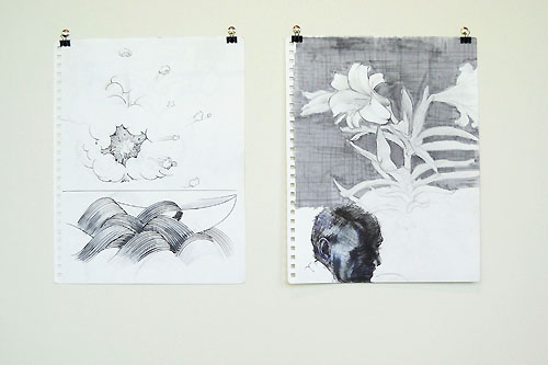 The Hand That Finds, The Hand That Feeds, The Hand That Fails: An Installation of Sketchbook Drawings by Nathan Lewis