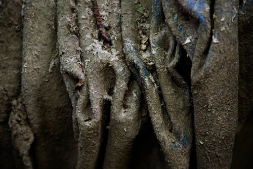 Remains: Photographs by Frank Miller