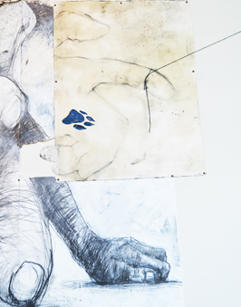 Where-Wolf (Willamette University): A Drawing Installation by Andrew Myers