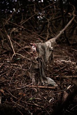 Remains: Photographs by Frank Miller