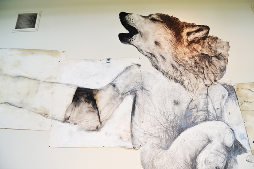 Where-Wolf (Willamette University): A Drawing Installation by Andrew Myers