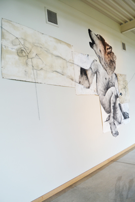 Where-Wolf (Willamette University): A Drawing Installation by Andrew Myers