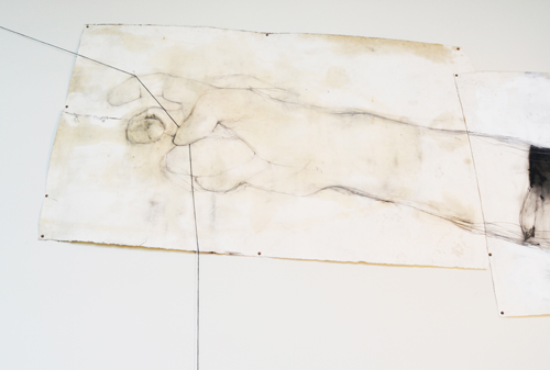 Where-Wolf (Willamette University): A Drawing Installation by Andrew Myers