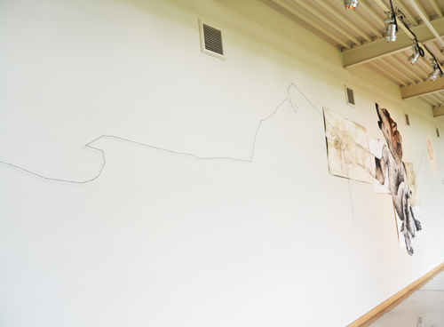 Where-Wolf (Willamette University): A Drawing Installation by Andrew Myers