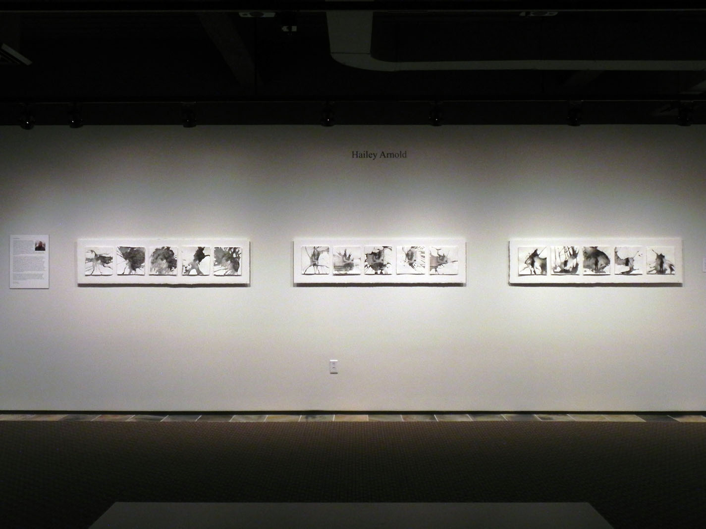 2015 Senior Gallery for Studio Art