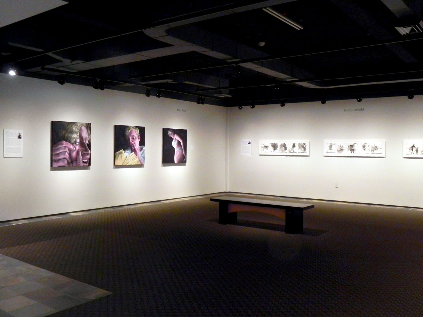 2015 Senior Gallery for Studio Art