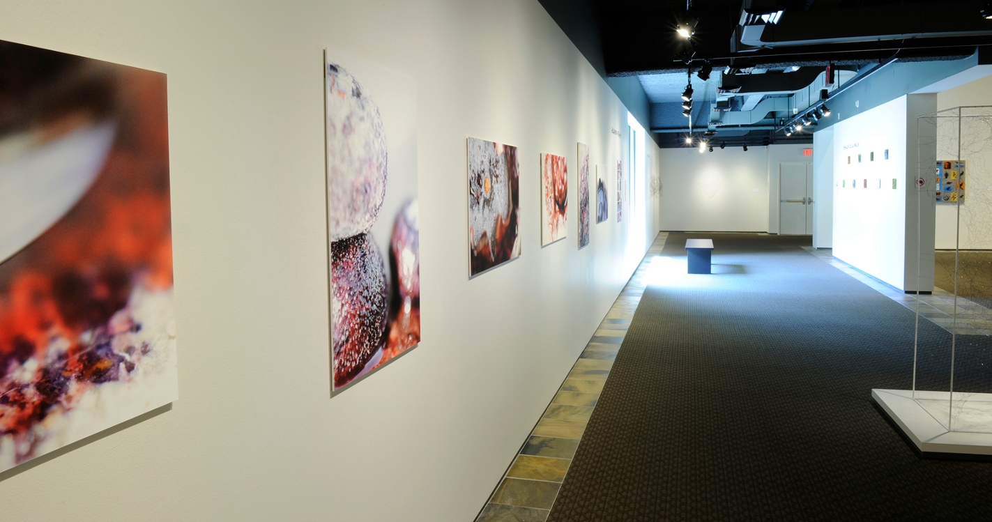 2016 Senior Exhibition for Studio Art students