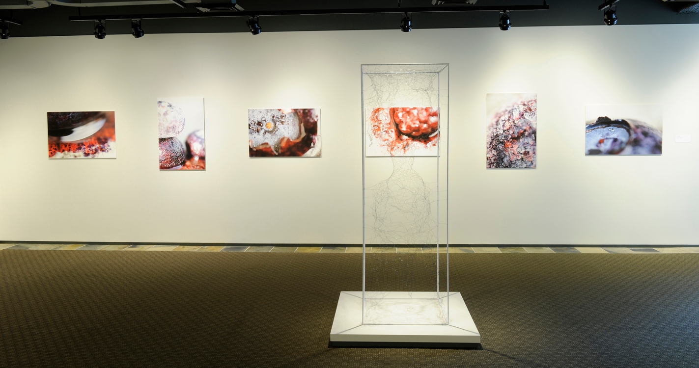 2016 Senior Exhibition for Studio Art students