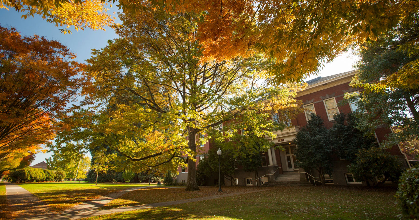 The Art Building