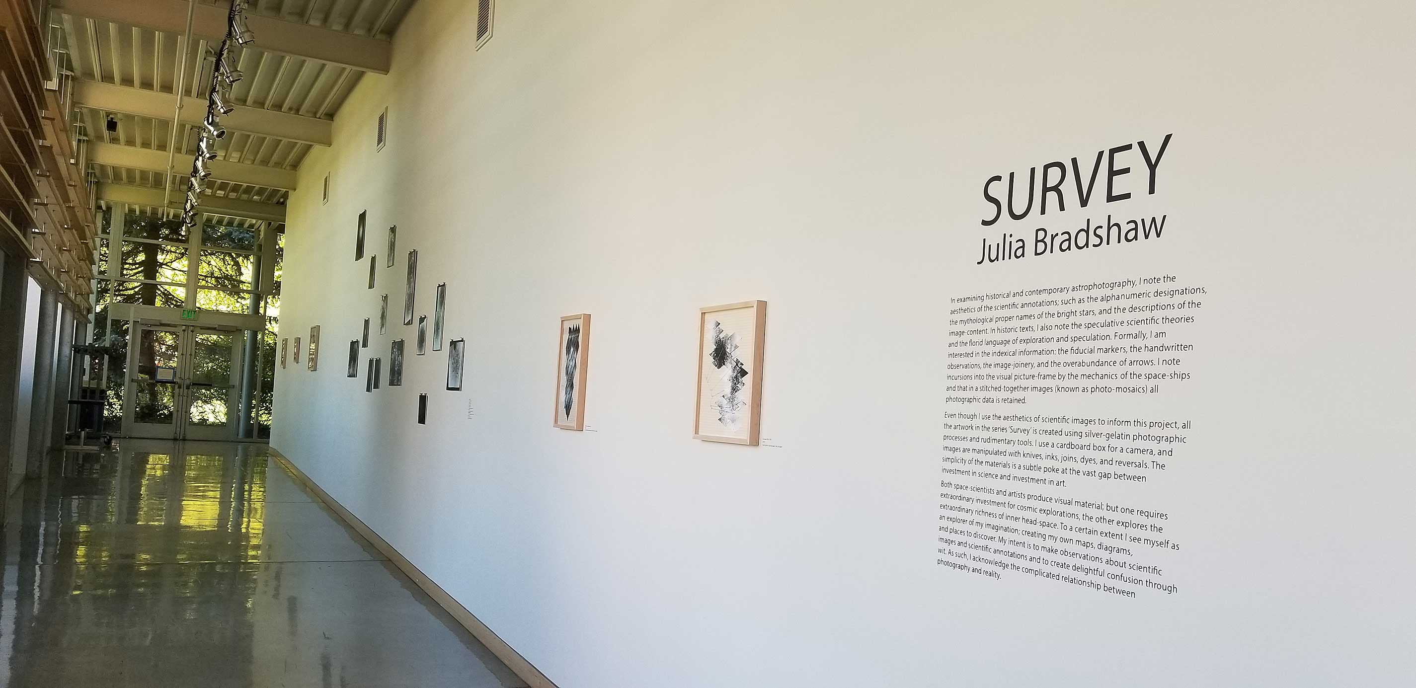 Survey: Julia Bradshaw