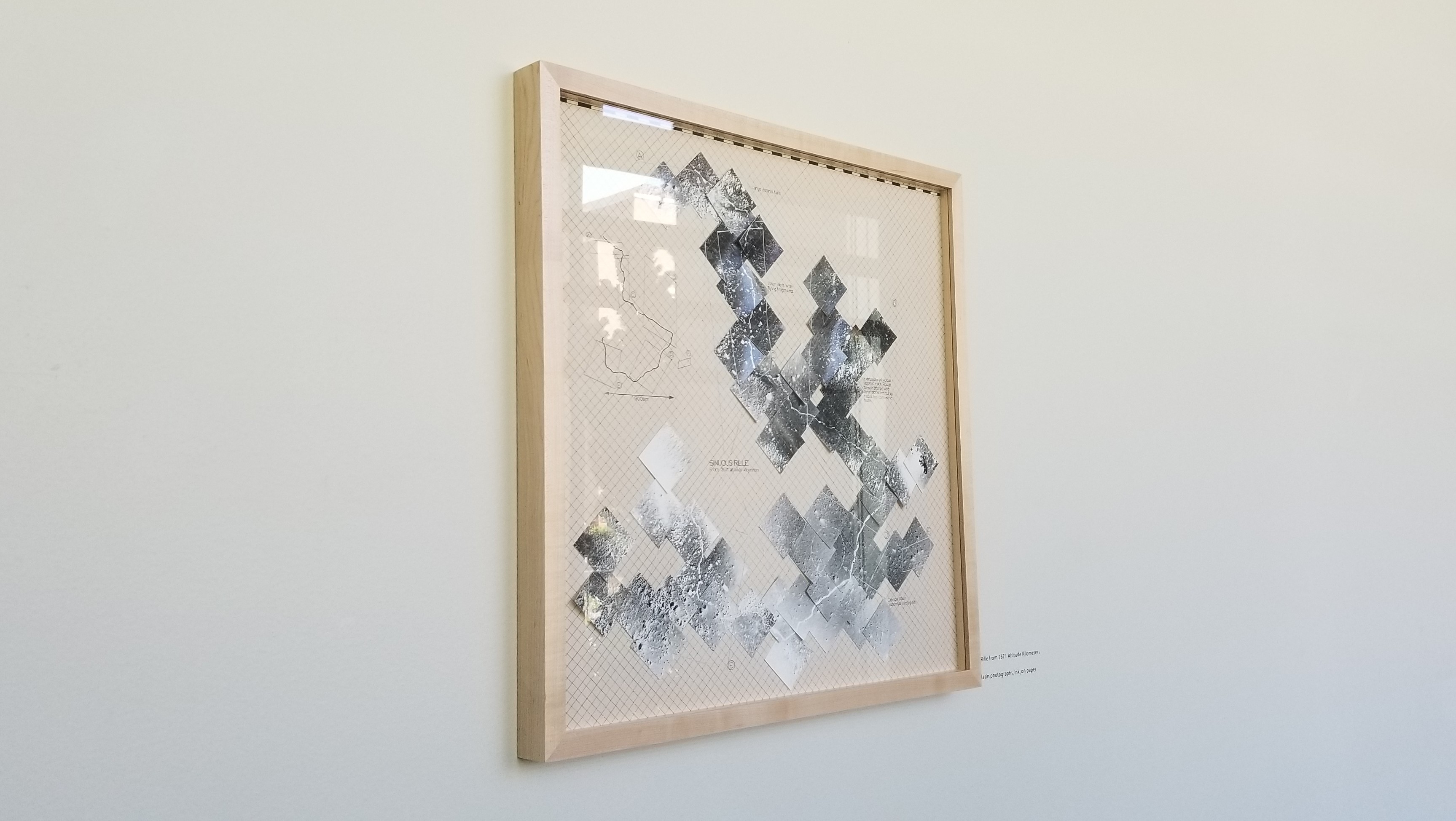 Survey: Julia Bradshaw