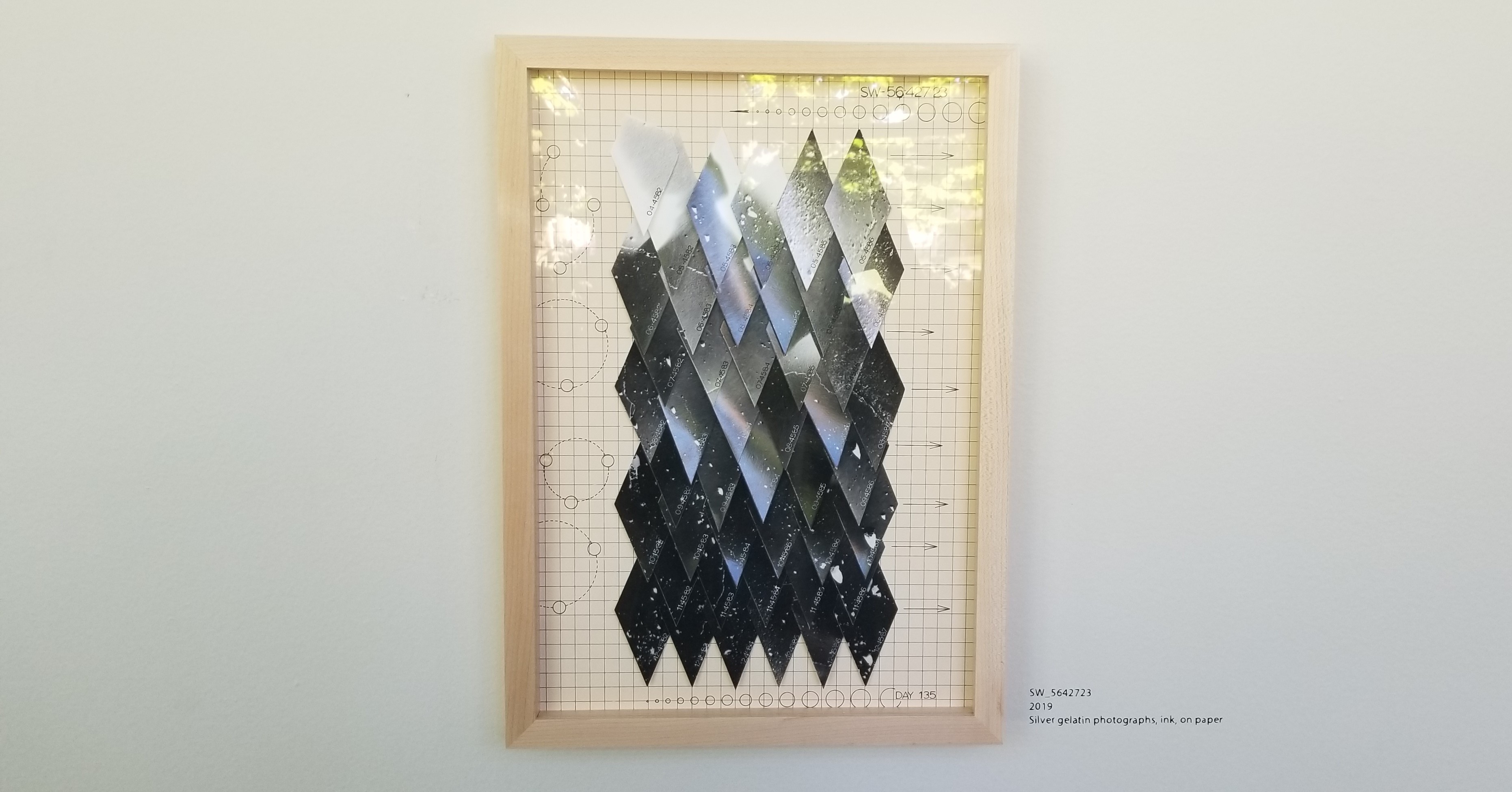 Survey: Julia Bradshaw