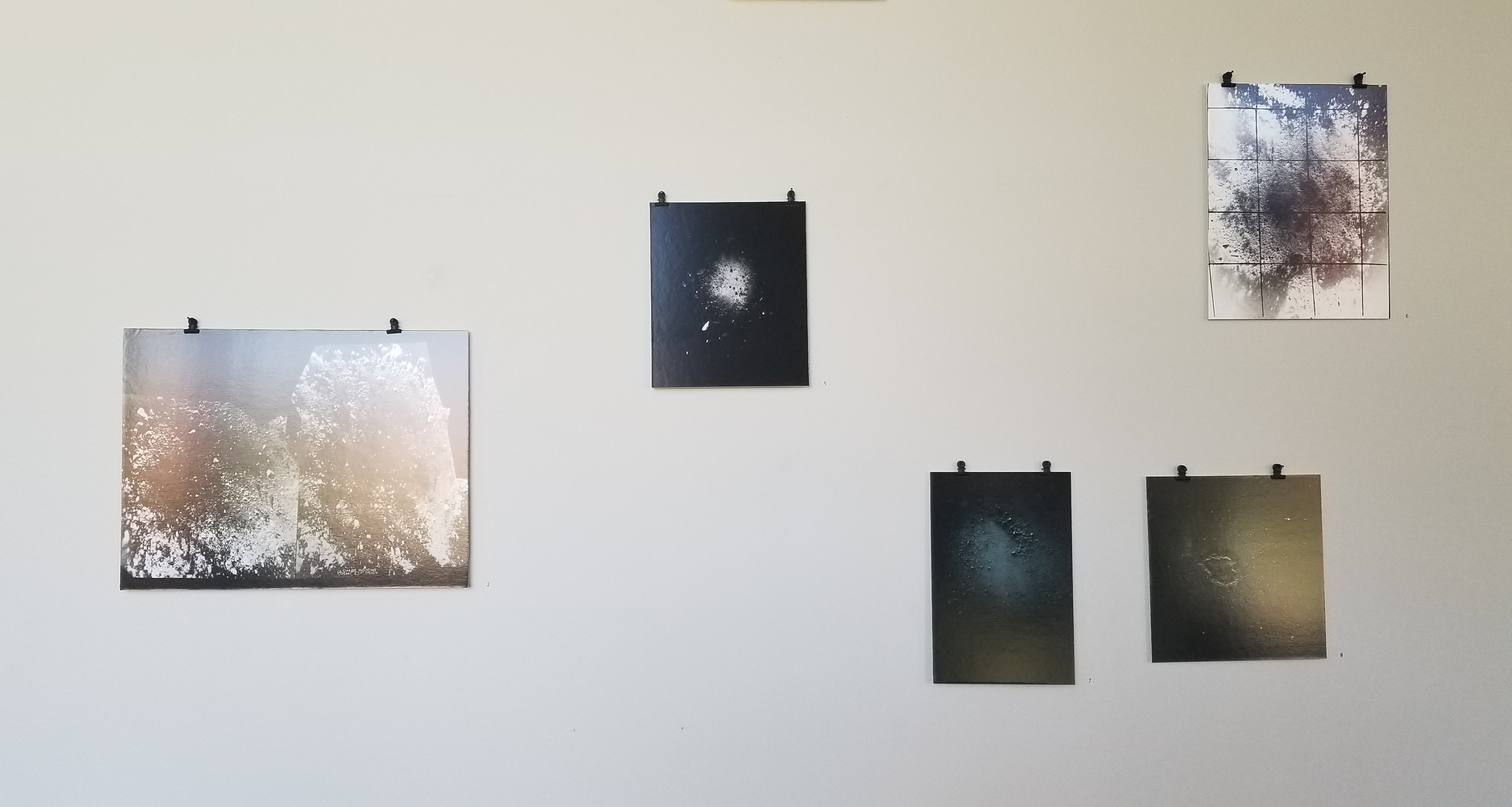 Survey: Julia Bradshaw