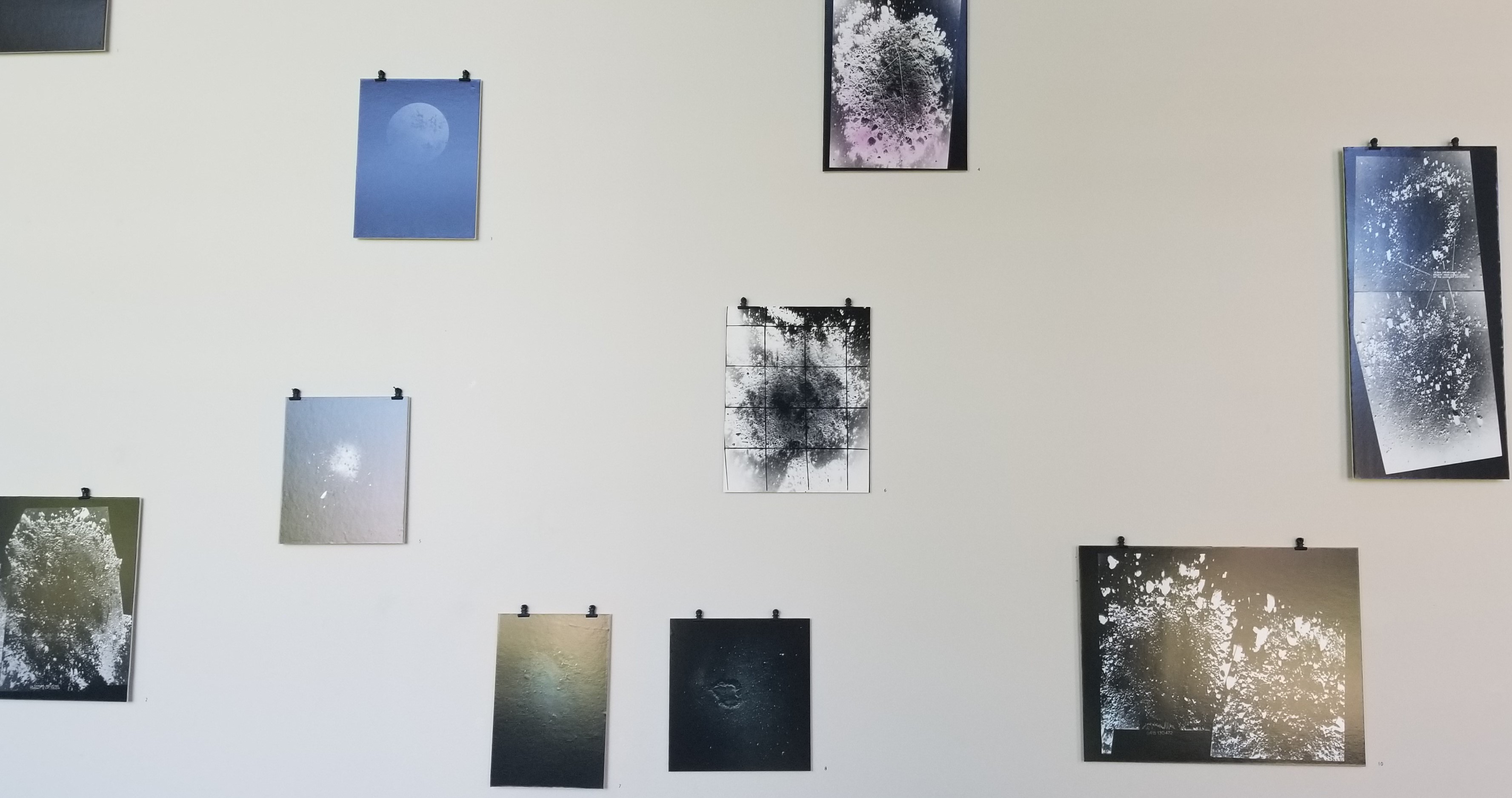 Survey: Julia Bradshaw
