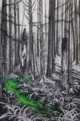 The Geography of Phenomena Gallery