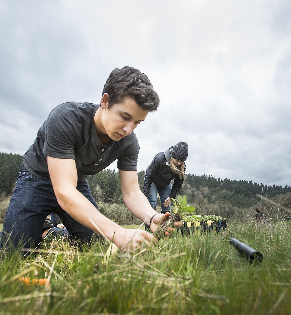 Two Willamette students planting saplings 