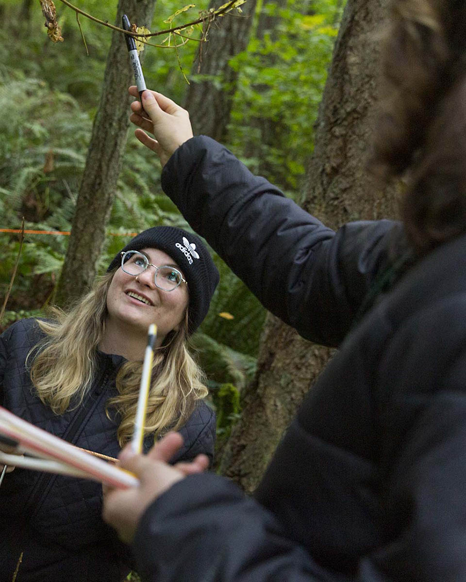 A student in the woods looking up