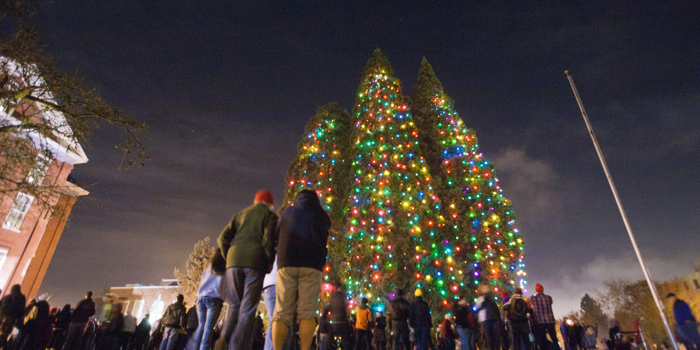 Star tree lights hotsell