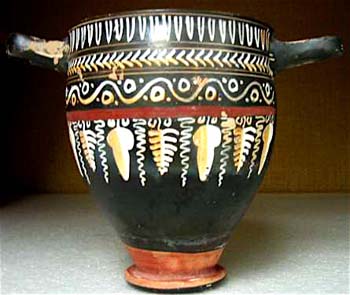 gnathian cup