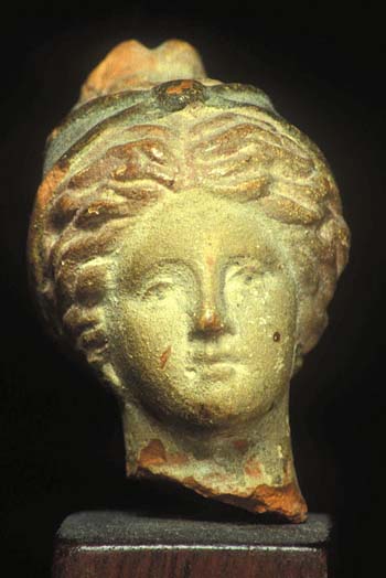 tanagra head