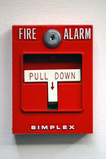 Example 2: Images conveying succinct information