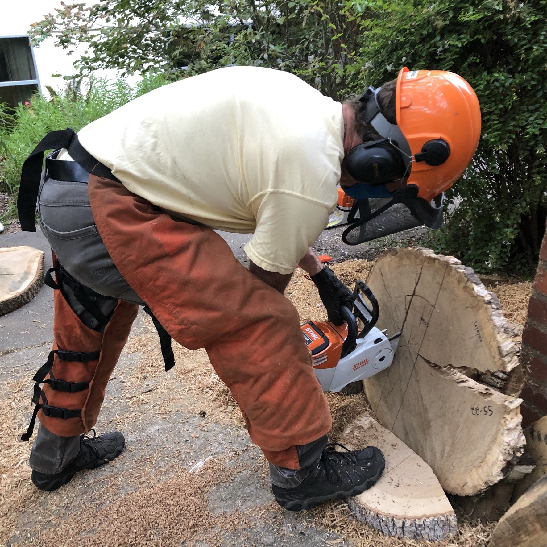 Photo of man using a chainsaw on a tree cookie