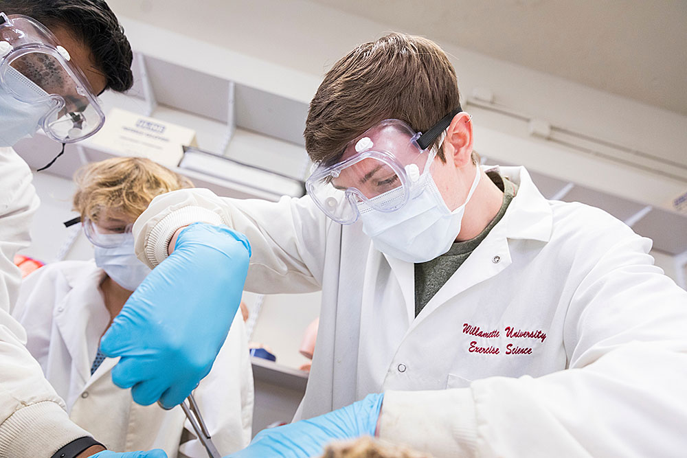 Students on the human anatomy cadaver dissection team prepare sections of the body for the next week's anatomy lab sessions