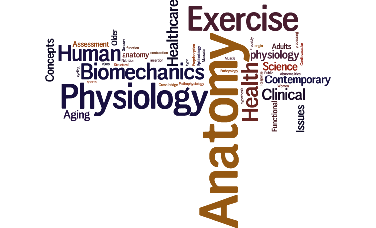 word cloud of students' favorite EXHS classes