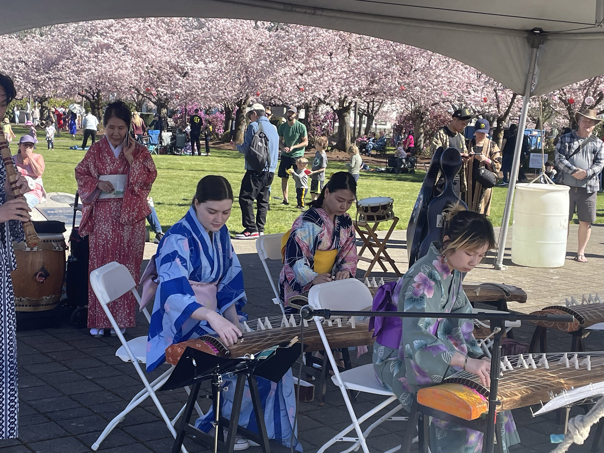 Cherry Blossom Festival