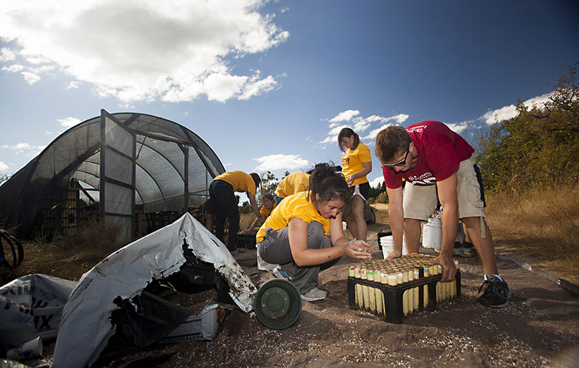A group of students working on a basket surrounded by dirt and a greenhouse