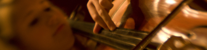 A person playing a stringed instrument