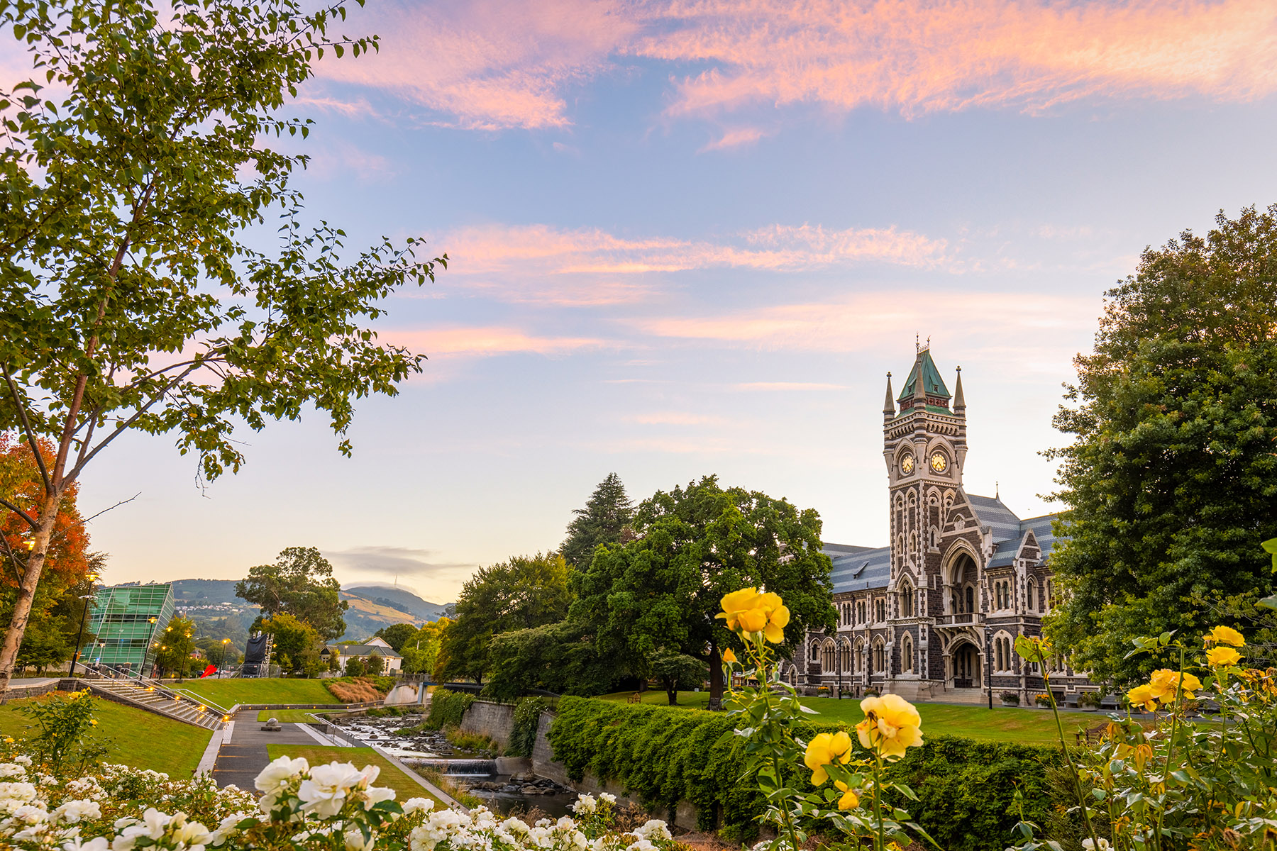 Dunedin, NZ Study Abroad